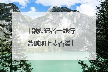 融媒记者一线行｜盐碱地上麦香溢