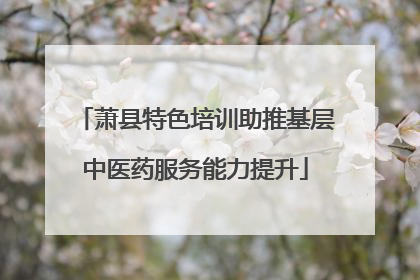 萧县特色培训助推基层中医药服务能力提升