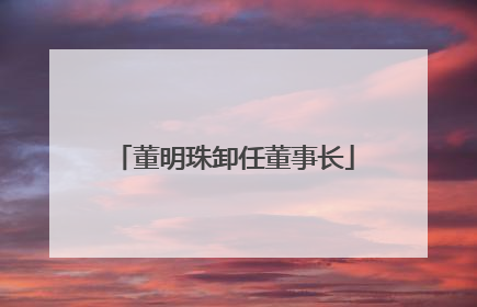 董明珠卸任董事长