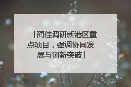 蔺佳调研新港区重点项目，强调协同发展与创新突破
