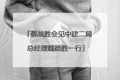 蔡战胜会见中建二局总经理魏德胜一行
