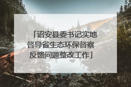 诏安县委书记实地督导省生态环保督察反馈问题整改工作