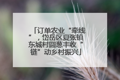 订单农业“牵线”，岱岳区夏张镇东城村圆葱丰收“链”动乡村振兴