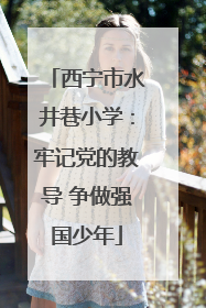 西宁市水井巷小学：牢记党的教导 争做强国少年