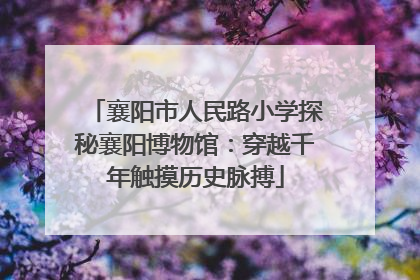 襄阳市人民路小学探秘襄阳博物馆：穿越千年触摸历史脉搏