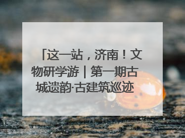 这一站，济南！文物研学游｜第一期古城遗韵·古建筑巡迹之旅圆满结束