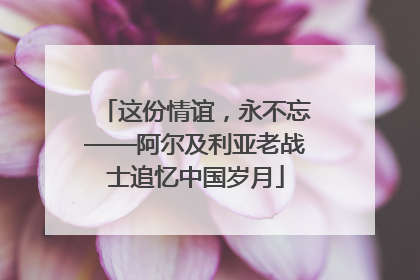 这份情谊，永不忘——阿尔及利亚老战士追忆中国岁月