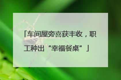 车间屋旁喜获丰收，职工种出“幸福餐桌”
