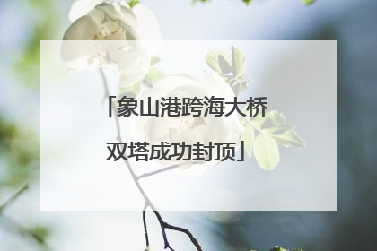 象山港跨海大桥双塔成功封顶