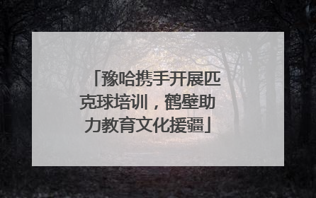 豫哈携手开展匹克球培训，鹤壁助力教育文化援疆