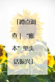 蹲点调查｜“账本”里头话振兴
