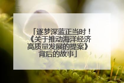 逐梦深蓝正当时！《关于推动海洋经济高质量发展的提案》背后的故事