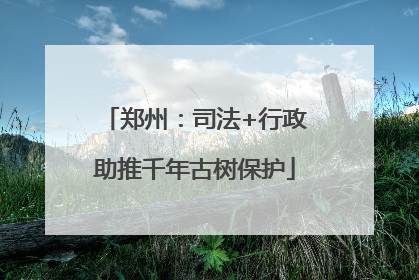 郑州：司法+行政助推千年古树保护
