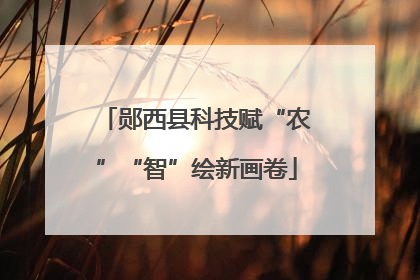 郧西县科技赋“农”“智”绘新画卷