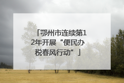 鄂州市连续第12年开展“便民办税春风行动”