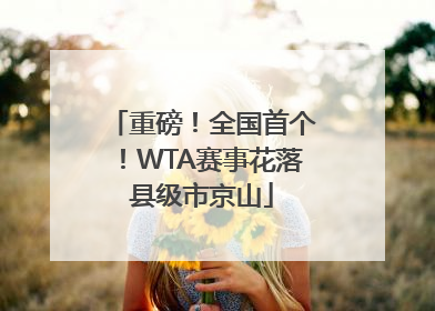 重磅！全国首个！WTA赛事花落县级市京山
