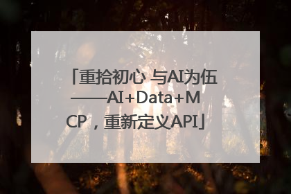 重拾初心 与AI为伍——AI+Data+MCP，重新定义API