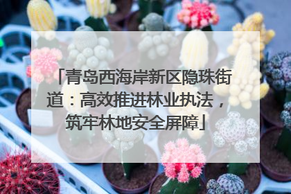 青岛西海岸新区隐珠街道：高效推进林业执法，筑牢林地安全屏障