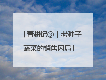 青耕记③｜老种子蔬菜的销售困局