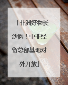 非洲好物长沙购！中非经贸总部基地对外开放
