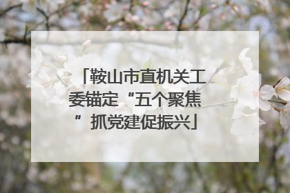 鞍山市直机关工委锚定“五个聚焦”抓党建促振兴