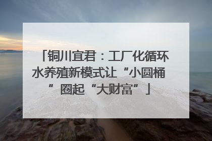 铜川宜君：工厂化循环水养殖新模式让“小圆桶”圈起“大财富”