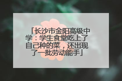 长沙市金阳高级中学：学生食堂吃上了自己种的菜，还出现了一批劳动能手