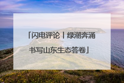 闪电评论丨绿潮奔涌 书写山东生态答卷