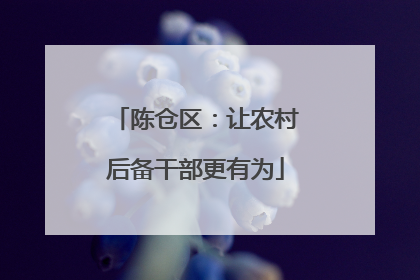 陈仓区：让农村后备干部更有为