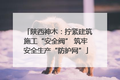 陕西神木：拧紧建筑施工“安全阀” 筑牢安全生产“防护网”