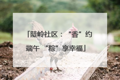 陡岭社区：“香”约端午 “粽”享幸福