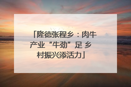 隆德张程乡：肉牛产业“牛劲”足 乡村振兴添活力