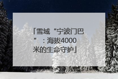 雪域“宁波门巴”：海拔4000米的生命守护