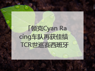 领克Cyan Racing车队再获佳绩 TCR世巡赛西班牙站包揽六座奖杯