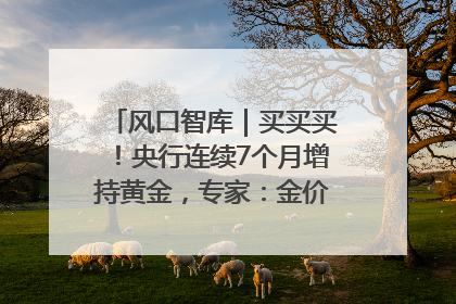 风口智库｜买买买！央行连续7个月增持黄金，专家：金价或仍易涨难跌