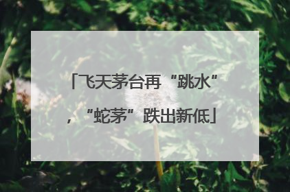 飞天茅台再“跳水”，“蛇茅”跌出新低