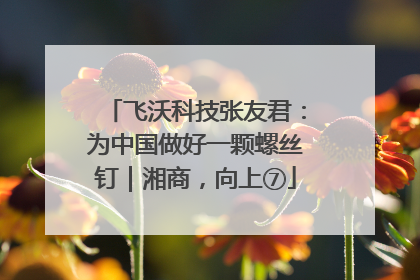 飞沃科技张友君：为中国做好一颗螺丝钉｜湘商，向上⑦