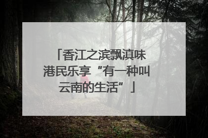 香江之滨飘滇味 港民乐享“有一种叫云南的生活”