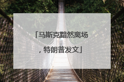 马斯克黯然离场，特朗普发文