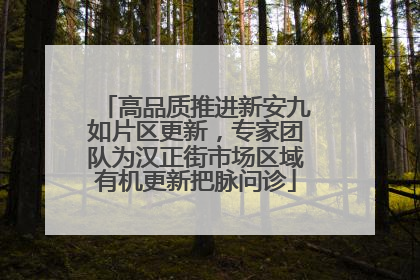 高品质推进新安九如片区更新，专家团队为汉正街市场区域有机更新把脉问诊