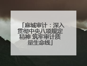 麻城审计：深入贯彻中央八项规定精神 筑牢审计质量生命线