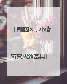 麒麟区：小蓝莓变成致富果