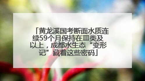 黄龙溪国考断面水质连续59个月保持在Ⅲ类及以上，成都水生态“变形记”藏着这些密码