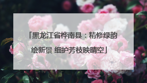 黑龙江省桦南县：精修绿韵绘新景 细护芳枝映晴空
