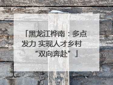 黑龙江桦南：多点发力 实现人才乡村“双向奔赴”