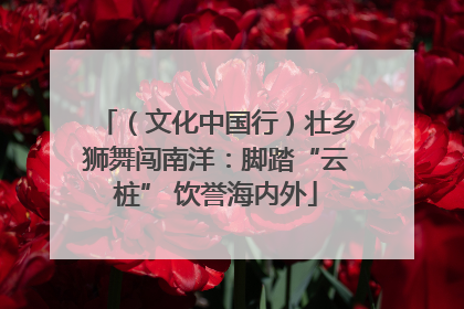（文化中国行）壮乡狮舞闯南洋：脚踏“云桩” 饮誉海内外