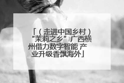 （走进中国乡村）“茉莉之乡”广西横州借力数字智能 产业升级香飘海外