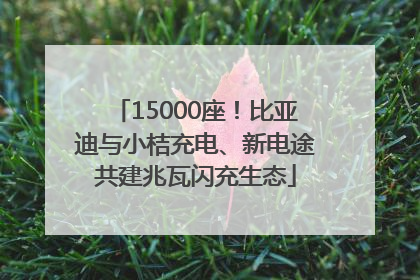 15000座！比亚迪与小桔充电、新电途共建兆瓦闪充生态