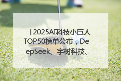 2025AI科技小巨人TOP50榜单公布，DeepSeek、宇树科技、蘑菇车联等企业荣誉上榜