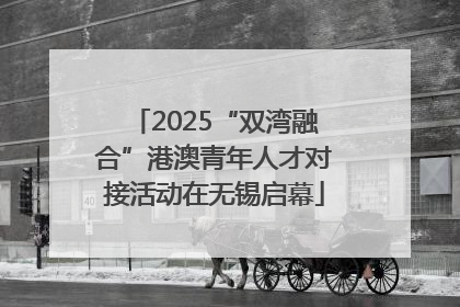 2025“双湾融合”港澳青年人才对接活动在无锡启幕